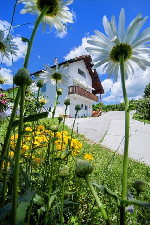 Apartment Bastaja Slunj Bagian luar foto